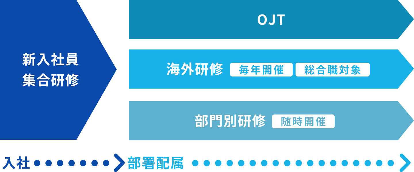 新入社員集合研修→OJT 海外研修 部門別研修